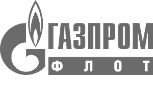 Gazprom fleet
